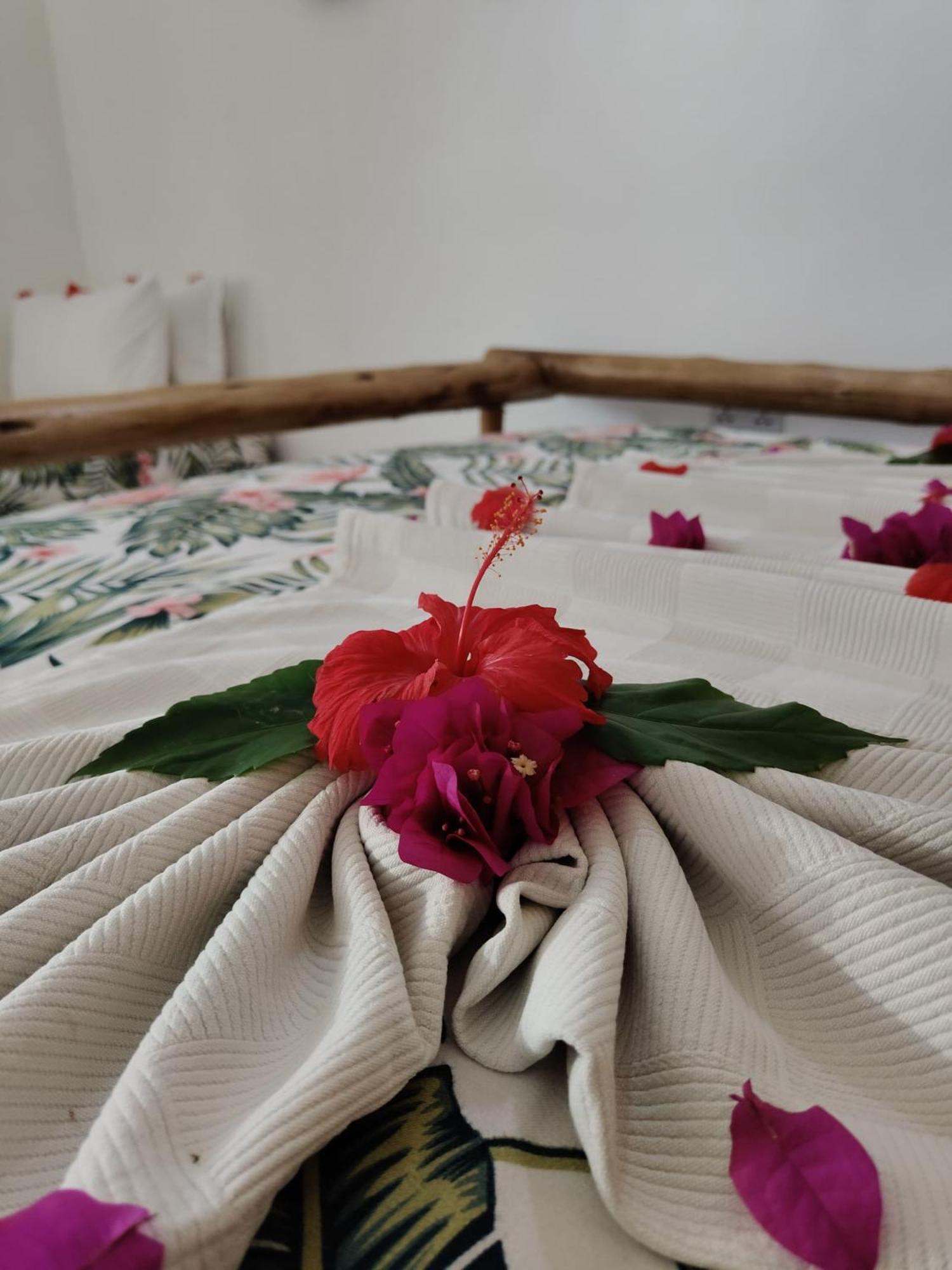 Hotel Pole Pole House Nungwi Zewnętrze zdjęcie