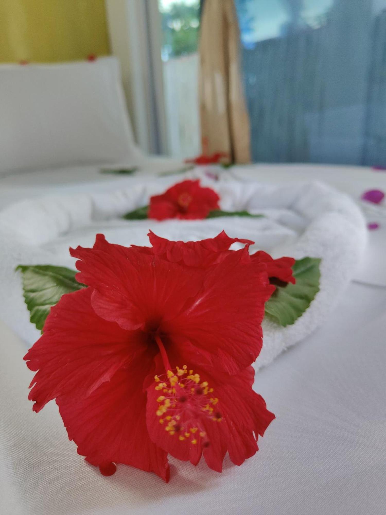 Hotel Pole Pole House Nungwi Zewnętrze zdjęcie
